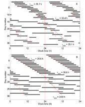 Physiologically-Based Modeling of Sleep-Wake Scheduling and the Effects of Pharmaceuticals (Postdoctoral Fellowship)